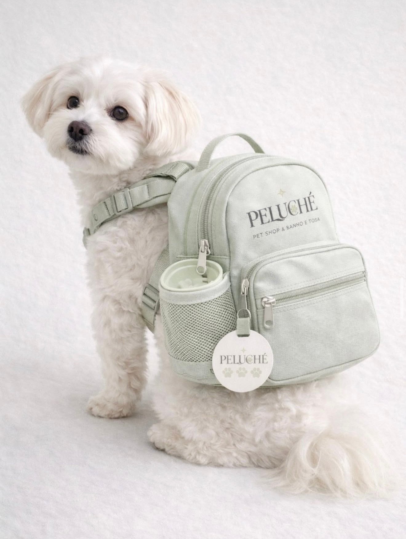 Pet com mochila Peluché — cuidado boutique